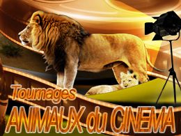 Location d'animaux de cinema